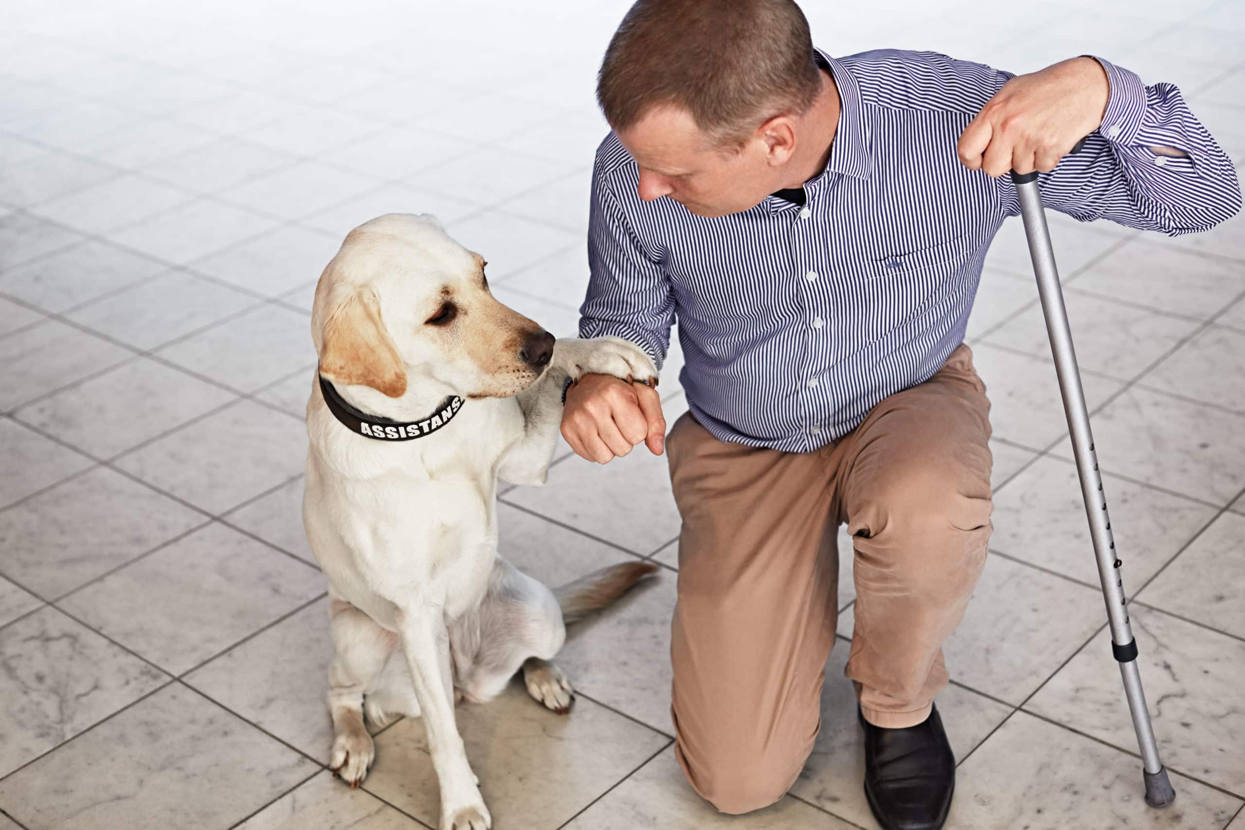 Bild på Scandics tillgänglihgetsdirektör magnus Berglund med sin servicehund Dixie.